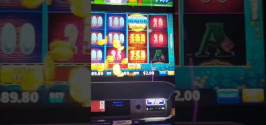 #pokieswin #pokie #gambling #gambler #highroller