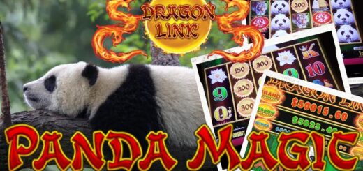 Dragon Link Panda Magic