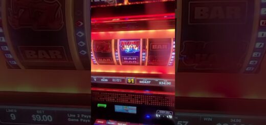 High Roller Slot Machine at the Casino!