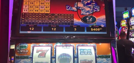 Max Bet Polar High Roller $2 Machine!