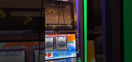 Vgt high rollers polar
