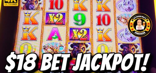 $18 bet JACKPOT on Buffalo Gold in Las Vegas