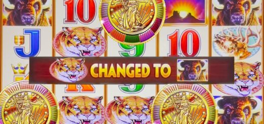 ALL COUGARS UPGRADED ? Buffalo Gold Revolution Live Slot Play at Hard Rock