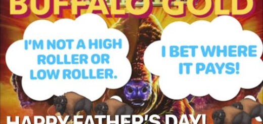 BUFFALO GOLD MULTIPLE BETS @ GRATON CASINO