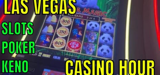 ✅ Dragon Links and Buffalo - LAS VEGAS Slot ONE HOUR in a CASINO