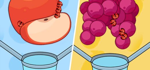 Juice Cutter - All Levels Mobile Walkthrough Trailer - Android Gameplay