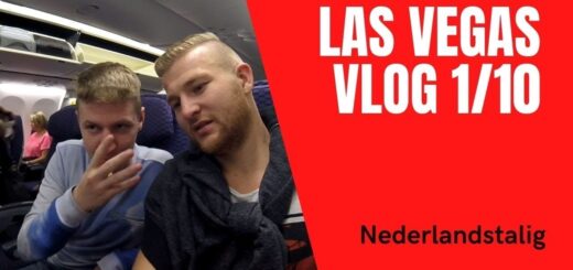 LAS VEGAS VLOG 1 de reis naar het FLAMINGO HOTEL CASINO #lasvegas