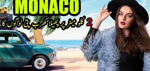 Travel To Monaco | Visiting a Country Of Billionaires| INFO GRAPHY