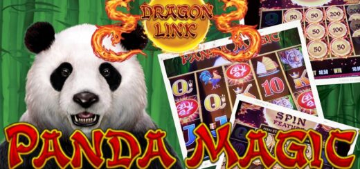 Bonus hits 3 times on Dragon Link Panda Magic