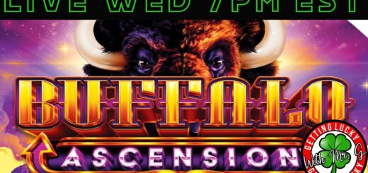 Buffalo Ascension LIVE from Jack Thissledown Casino