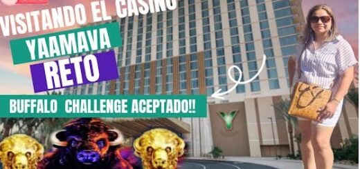? LIVE VISITANDO EL CASINO YAAMAVA BUFFALO CHALLENGE ACEPTADO!!  @GRACYLUCKSLOTS @YoshiSlots