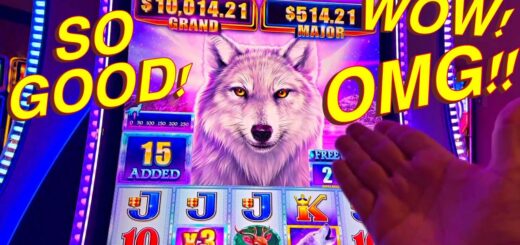 TIMBER WOLF CHIEF!!!!!!!