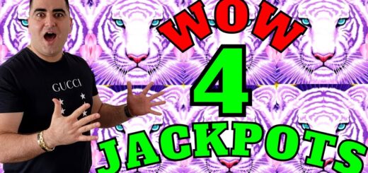 I Won JACKPOTS On Every Slot Game I Have Played