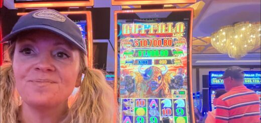 Let’s Rock Some Buffalo Slots @ The Hard Rock Tampa