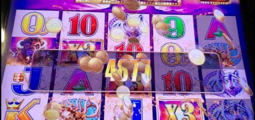 Low Roller's Dream! 27x on Classic Buffalo!