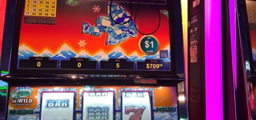 Max bets on Poller High Roller $5 max