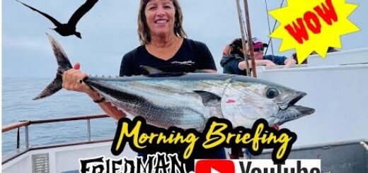 SoCal dorado bite intensifies, bluefin tuna and big yellowtail, great local bass fishing too.