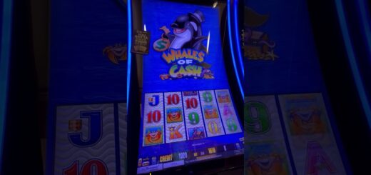 WHALES OF CASH SLOT MACHINE #casino #vegas #money