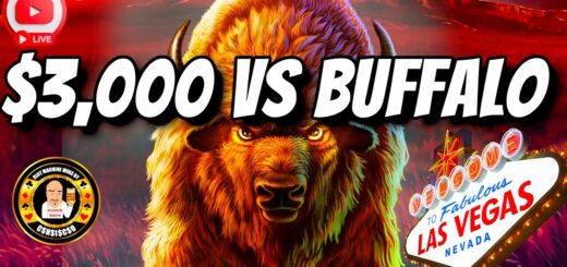 $3,000 vs Buffalo Gold LIVE From Las Vegas