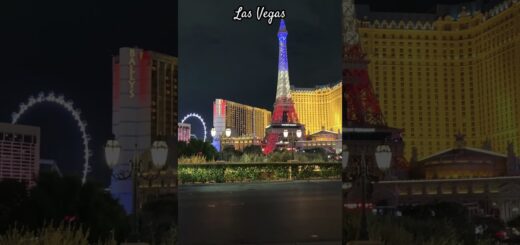 Bellagio Las Vegas casino #youtubeshorts #casino #vegas #shorts #viral #shortsfeed #tour #travel