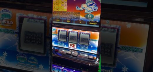 Quick Double up on Polar High Roller VGT Bingo Slot Machine #vgt #vgtslots #casino #peacesign