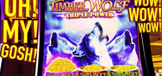 THE NEW TIMBER WOLF TRIPLE POWER!!!!!!