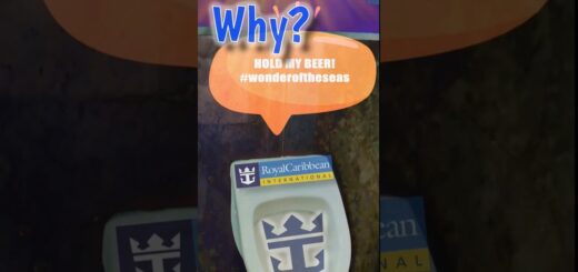 High Stakes, Low Tables: Royal Caribbean's Casino Bathroom Dilemma Revealed! ??