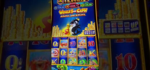 BIG WIN? WHALES OF CASH RISING JACKPOTS? #casino #gambling #slots #bigwin
