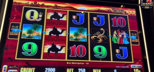 SOMETIMES YOU GOTTA GAMBLE