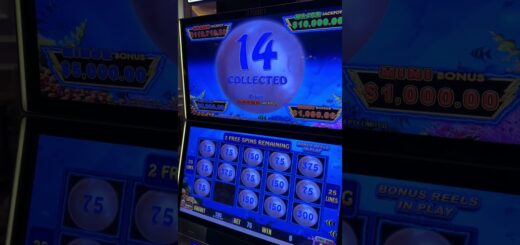 $75 BET JACKPOT LIGHTNING LINK