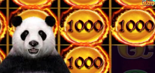 Battle With The Grand? Panda Magic • HIGH BET! #slots #dragonlink