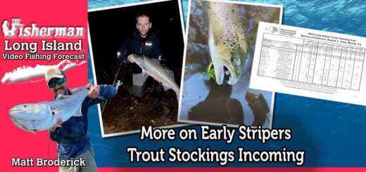 March 21st 2024 Long Island Metro Fishing Report with Matthew Broderick
