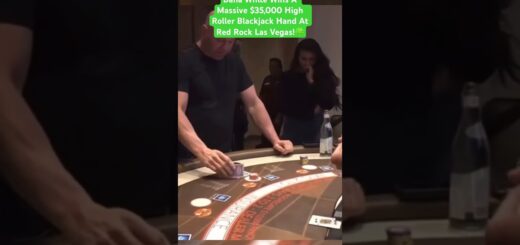 SteveWillDoIt High Stakes Gambling w/ Dana White!