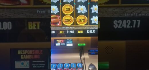 Thank you Low Budget High Rollers YouTube channel ?