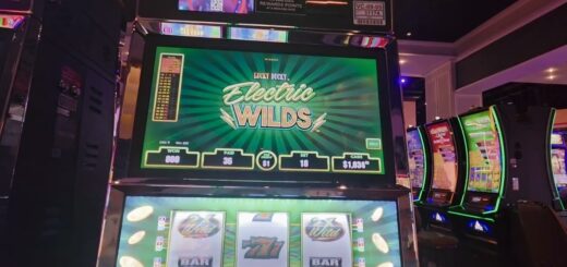 Another one bites the dust: Polar HighRoller/Lucky Ducky Max Bet High Limit