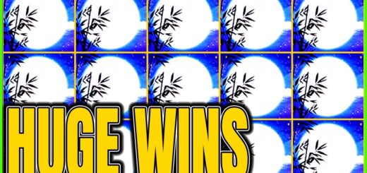 Everyone Was Staring At My HUGE WINS on Dragon Link Autumn Moon Slot