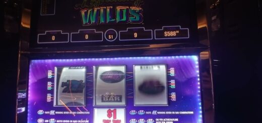 GOOD RUN ON POLAR HIGH ROLLER ELECTRIC WILDS @CHOCTAW CASINO DURANT 🎰