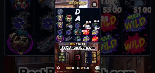LUCKY BONUS SPIN WITH A BIG DAWG #slot #casino #bonus