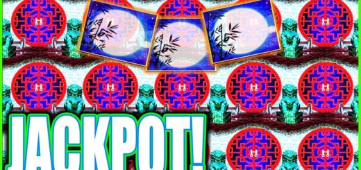 We Did Not STOP Till This HUGE WIN JACKPOT! Dragon Link Autumn Moon Slot