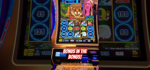LIGHTNING LINK 10 YEAR BONUS IN BONUS HIT #slots #jackpot #casino